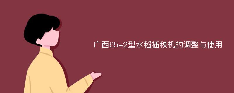 广西65-2型水稻插秧机的调整与使用