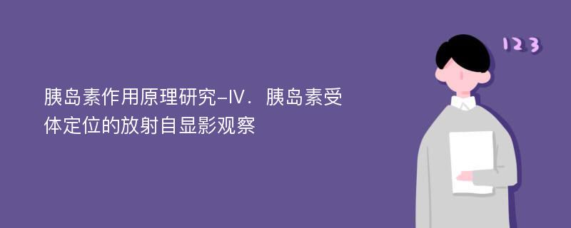 胰岛素作用原理研究-Ⅳ．胰岛素受体定位的放射自显影观察