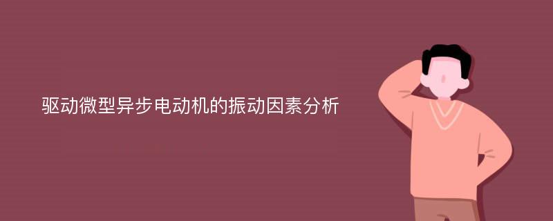 驱动微型异步电动机的振动因素分析