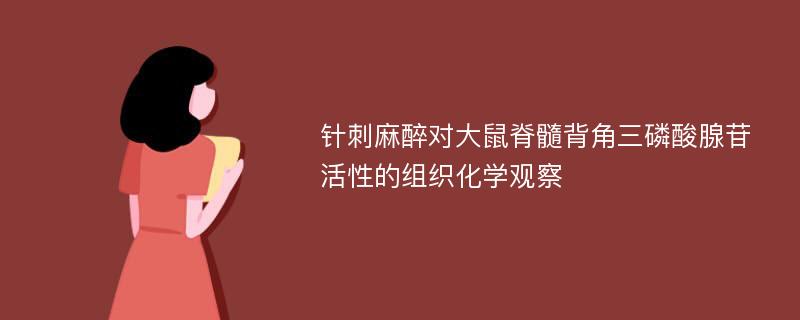 针刺麻醉对大鼠脊髓背角三磷酸腺苷活性的组织化学观察