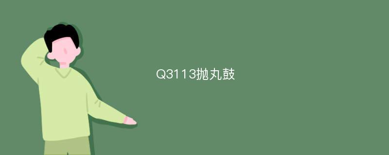 Q3113抛丸鼓