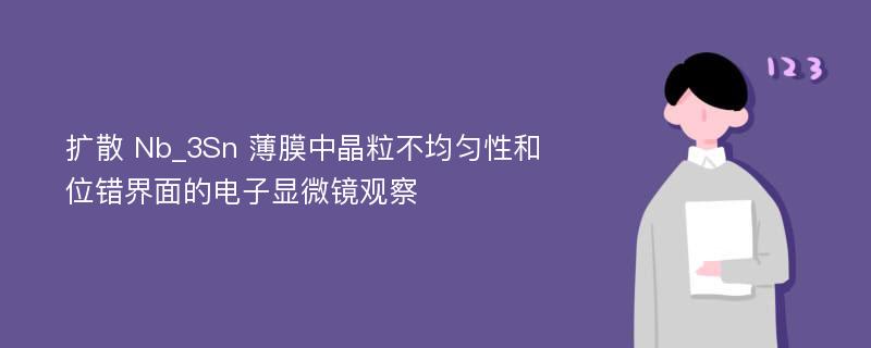 扩散 Nb_3Sn 薄膜中晶粒不均匀性和位错界面的电子显微镜观察