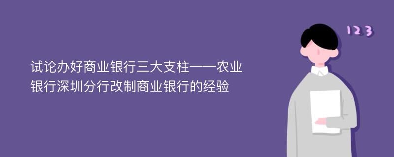 试论办好商业银行三大支柱——农业银行深圳分行改制商业银行的经验