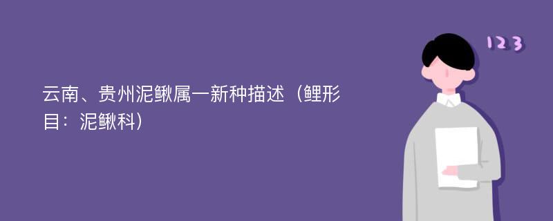 云南、贵州泥鳅属一新种描述（鲤形目：泥鳅科）