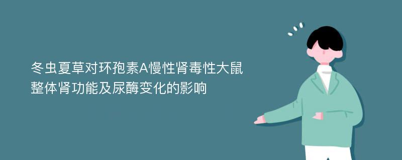 冬虫夏草对环孢素A慢性肾毒性大鼠整体肾功能及尿酶变化的影响