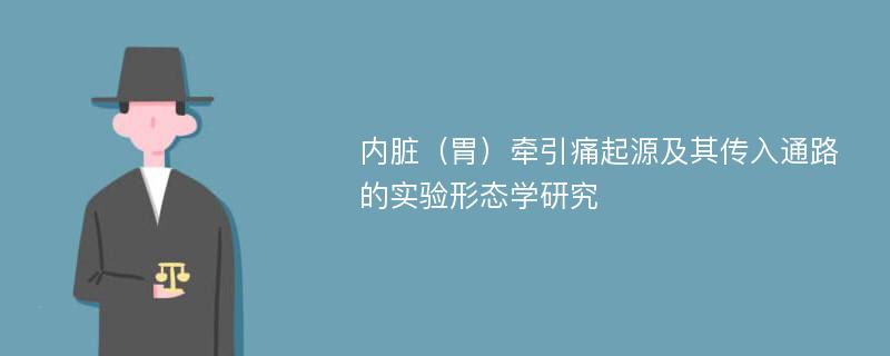 内脏（胃）牵引痛起源及其传入通路的实验形态学研究