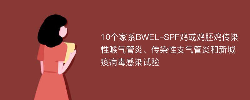 10个家系BWEL-SPF鸡或鸡胚鸡传染性喉气管炎、传染性支气管炎和新城疫病毒感染试验