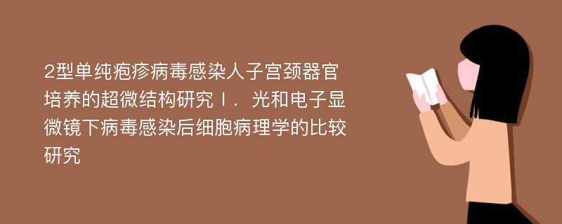 2型单纯疱疹病毒感染人子宫颈器官培养的超微结构研究Ⅰ．光和电子显微镜下病毒感染后细胞病理学的比较研究