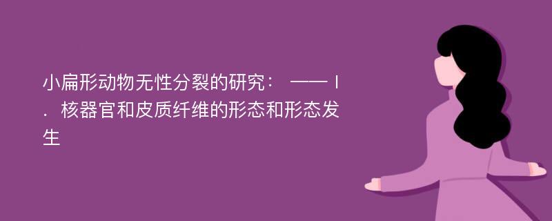 小扁形动物无性分裂的研究： ——Ⅰ．核器官和皮质纤维的形态和形态发生