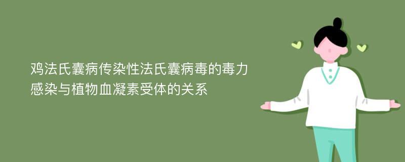 鸡法氏囊病传染性法氏囊病毒的毒力感染与植物血凝素受体的关系