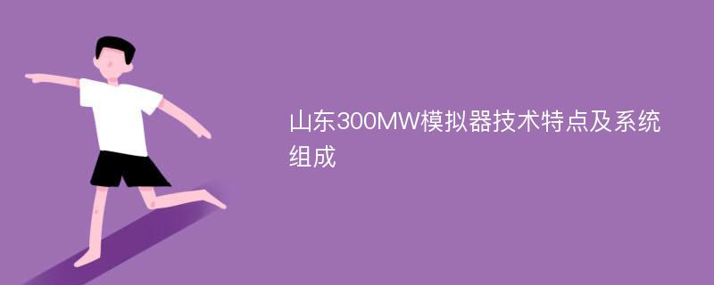 山东300MW模拟器技术特点及系统组成