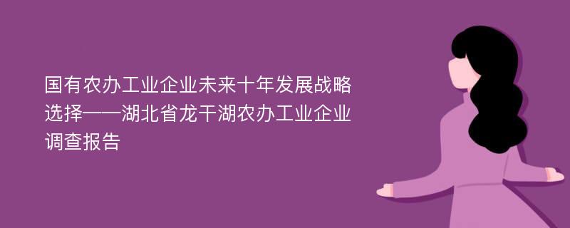 国有农办工业企业未来十年发展战略选择——湖北省龙干湖农办工业企业调查报告