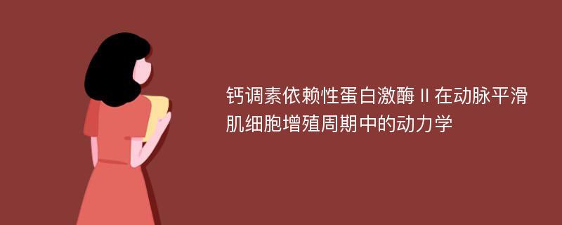 钙调素依赖性蛋白激酶Ⅱ在动脉平滑肌细胞增殖周期中的动力学