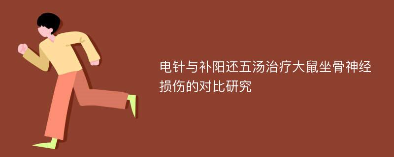 电针与补阳还五汤治疗大鼠坐骨神经损伤的对比研究