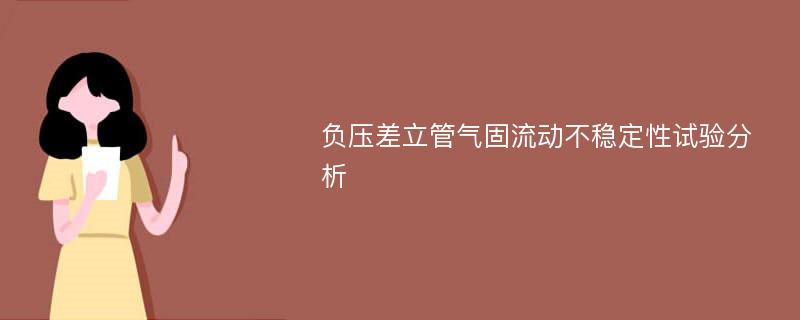 负压差立管气固流动不稳定性试验分析