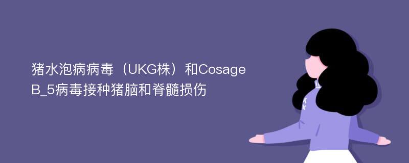 猪水泡病病毒（UKG株）和Cosage B_5病毒接种猪脑和脊髓损伤