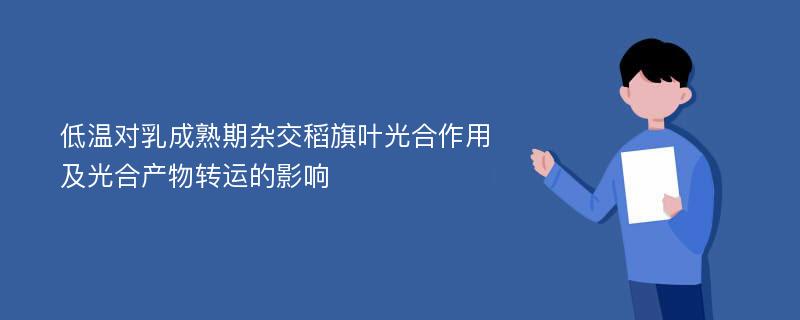 低温对乳成熟期杂交稻旗叶光合作用及光合产物转运的影响