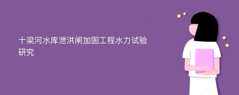 十梁河水库泄洪闸加固工程水力试验研究