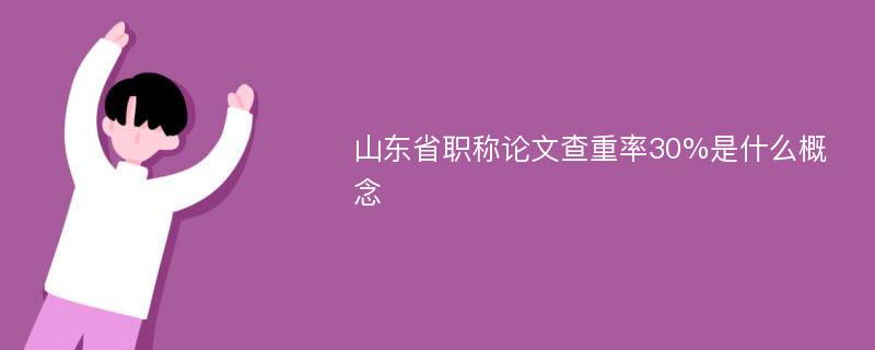 山东省职称论文查重率30%是什么概念