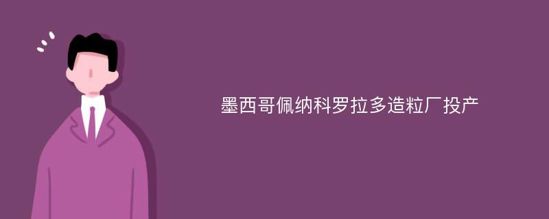 墨西哥佩纳科罗拉多造粒厂投产