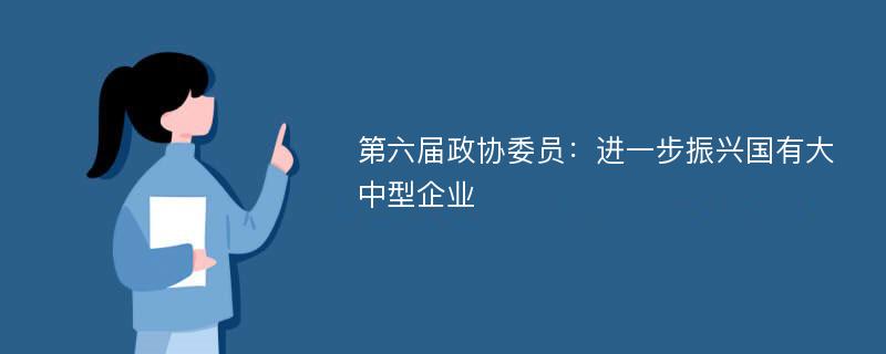 第六届政协委员：进一步振兴国有大中型企业