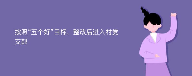 按照“五个好”目标，整改后进入村党支部