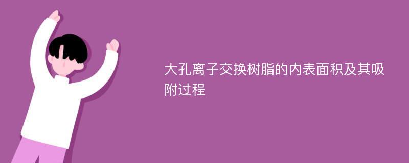 大孔离子交换树脂的内表面积及其吸附过程