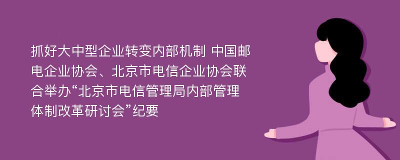 抓好大中型企业转变内部机制 中国邮电企业协会、北京市电信企业协会联合举办“北京市电信管理局内部管理体制改革研讨会”纪要