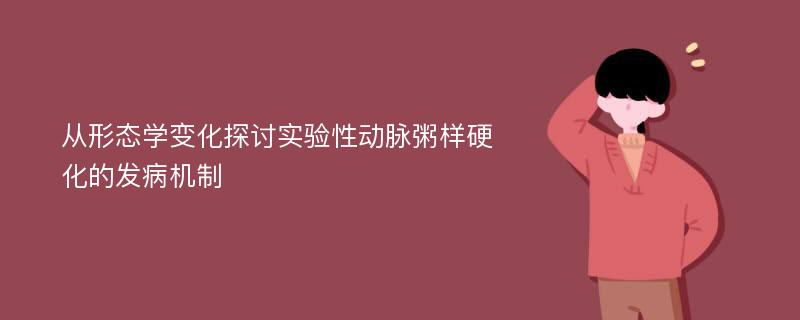 从形态学变化探讨实验性动脉粥样硬化的发病机制