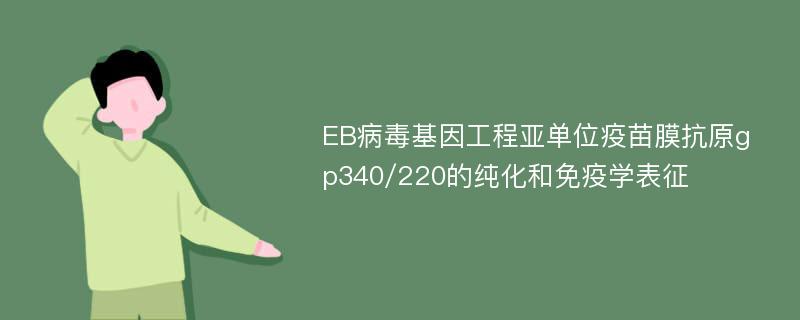 EB病毒基因工程亚单位疫苗膜抗原gp340/220的纯化和免疫学表征