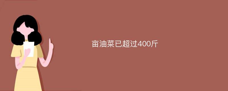 亩油菜已超过400斤