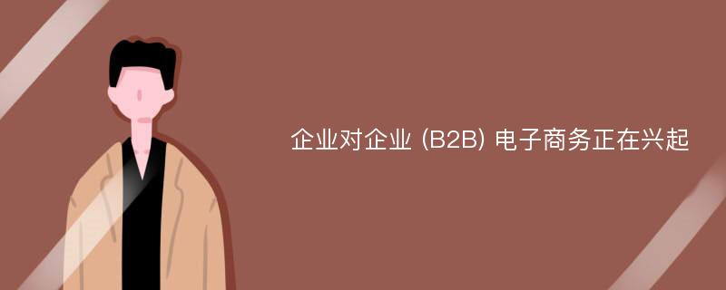 企业对企业 (B2B) 电子商务正在兴起